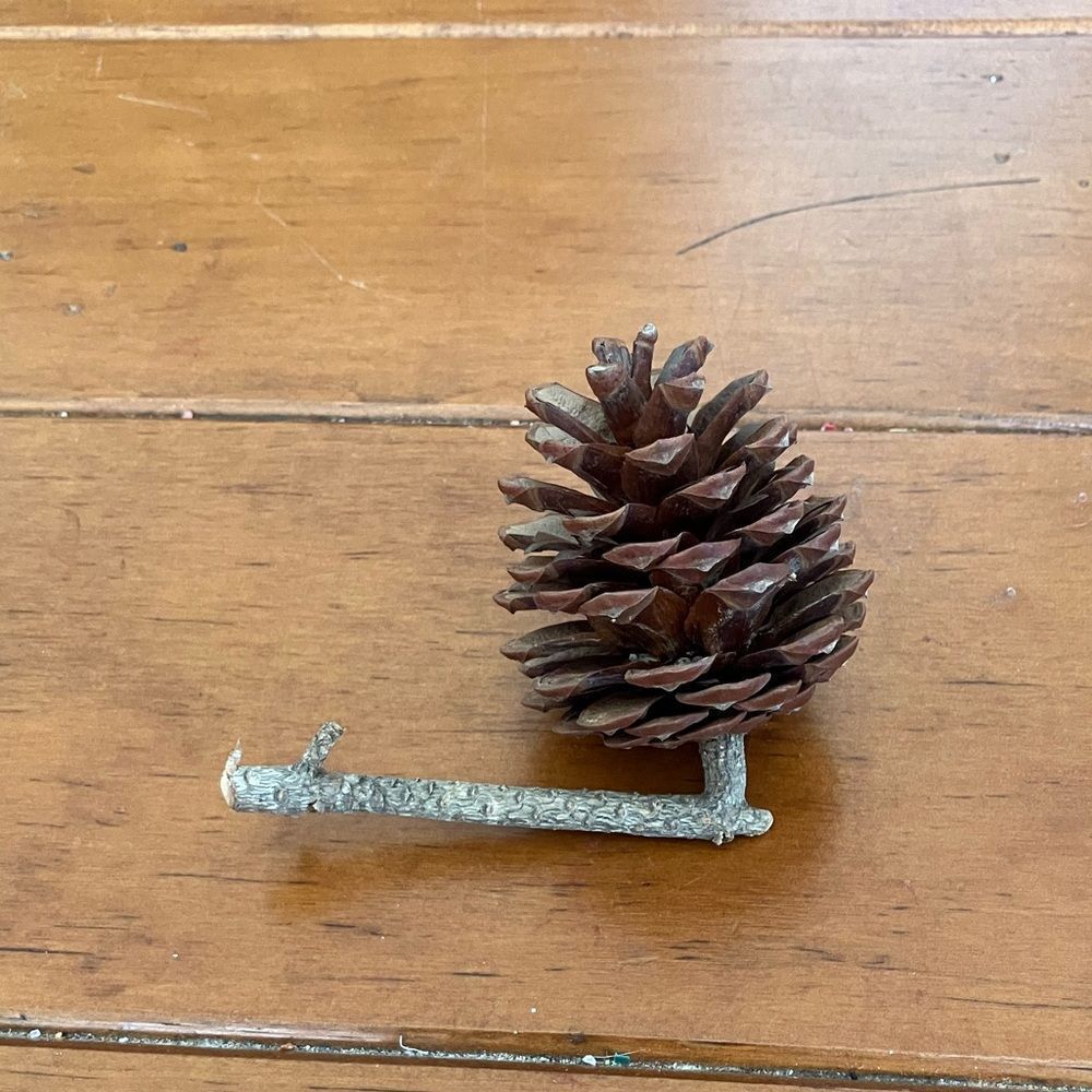 Small Pinecone